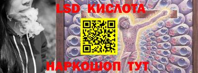прущие крисы Бийск