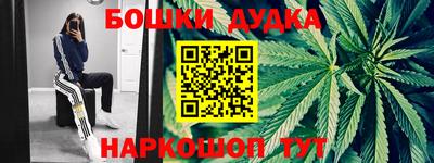 прущие крисы Бийск