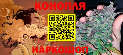 прущие крисы Бийск