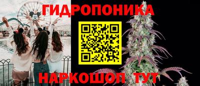прущие крисы Бийск