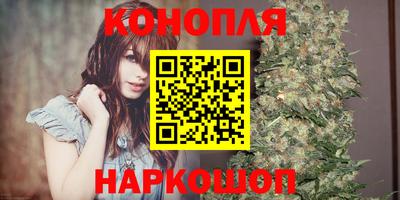 прущие крисы Бийск