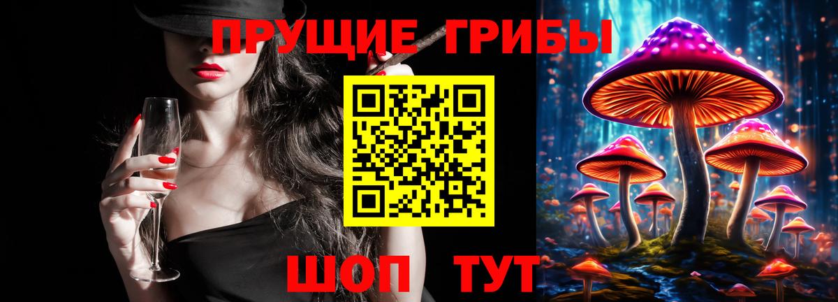 закладка  Вход с VPN  Когалым  Псилоцибиновые грибы Magic Shrooms 